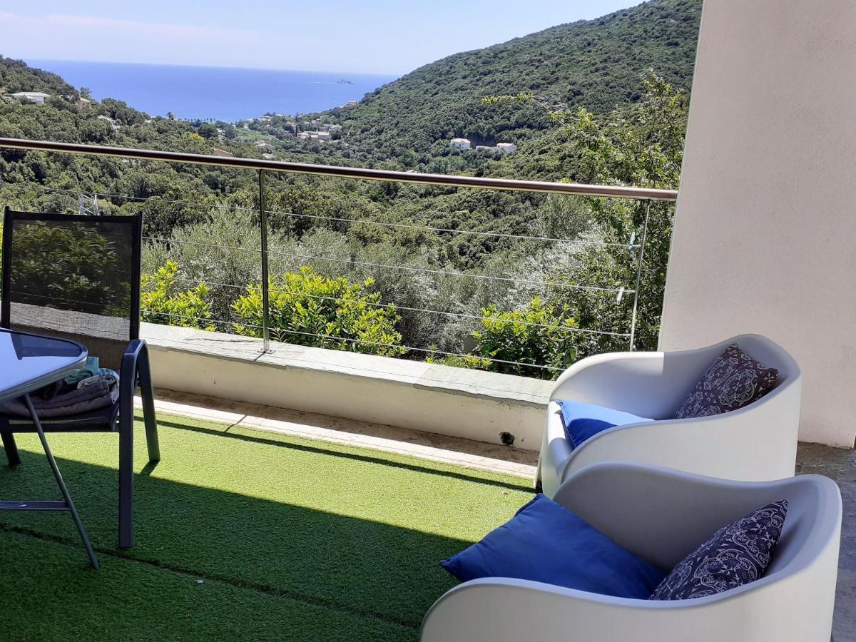 Cap Corse Uribellinu 2 Formule Petit Dejeuner Santa-Maria-di-Lota エクステリア 写真