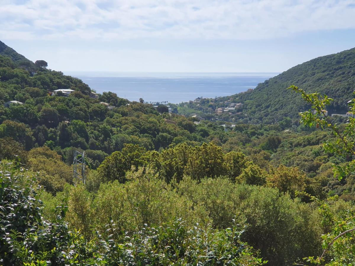 Cap Corse Uribellinu 2 Formule Petit Dejeuner Santa-Maria-di-Lota エクステリア 写真